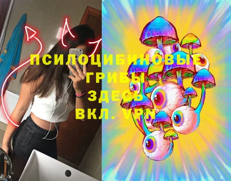 Галлюциногенные грибы MAGIC MUSHROOMS  Кингисепп 